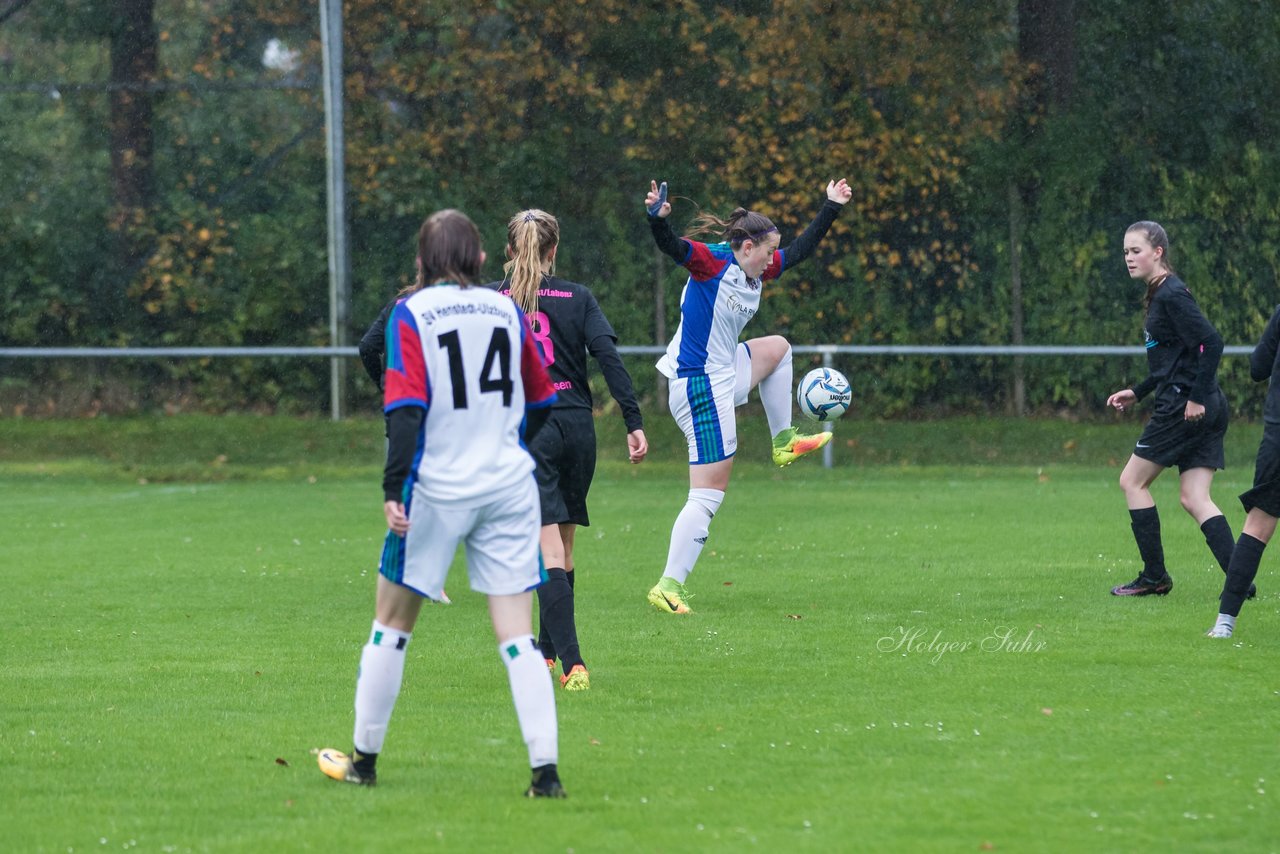 Bild 171 - B-Juniorinnen SV Henstedt Ulzburg - MSG Steinhorst Krummesse : Ergebnis: 4:0